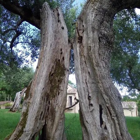 Villa Santa Vittoria Sleeps 2 Pool Wifi *