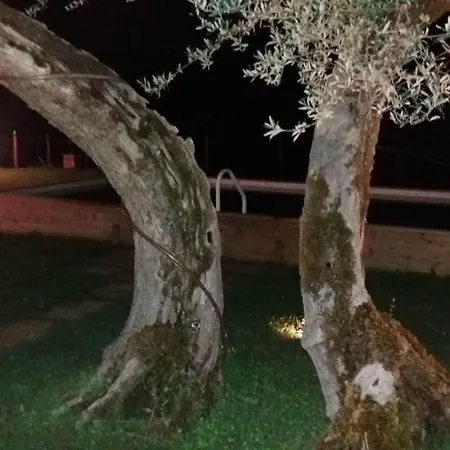 Santa Vittoria Sleeps 2 Pool Wifi Villa Sant'Orfeto